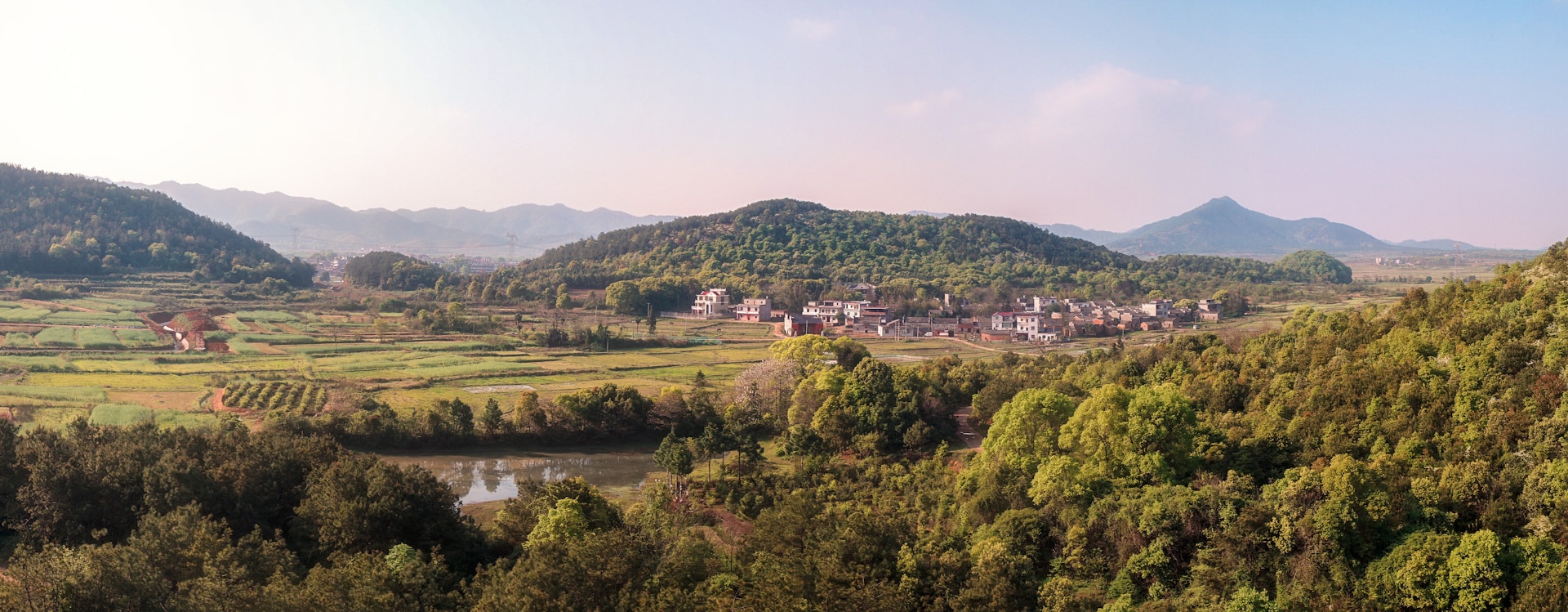 A serene view of a rural landscape with lush green fields and traditional houses under a clear blue sky.