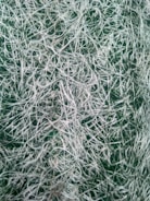 Close-up of advanced textile fibers under a microscope.