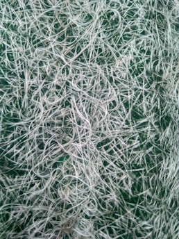 A close-up view of a surface densely covered with intertwined light-colored fibers or strands, possibly resembling a coarse fabric or a fibrous material, against a green background.