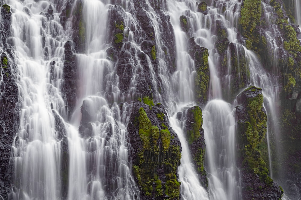 water falls in the middle of green trees