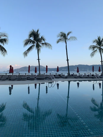 A serene poolside view framed by palm trees under a clear blue sky at Casa del Sol.
