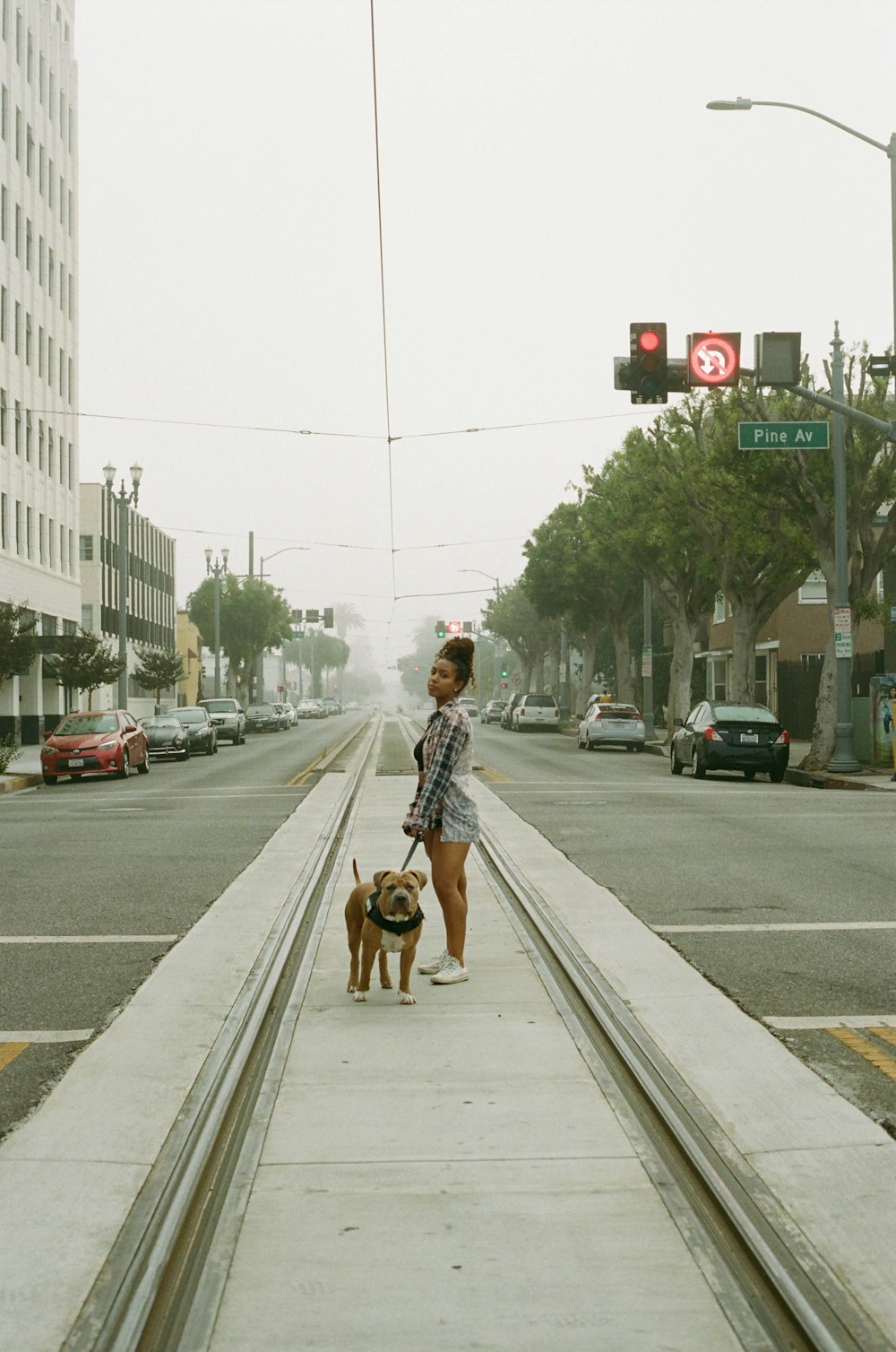 woman in gray jacket and brown skirt carrying brown short coated dog on road during daytime