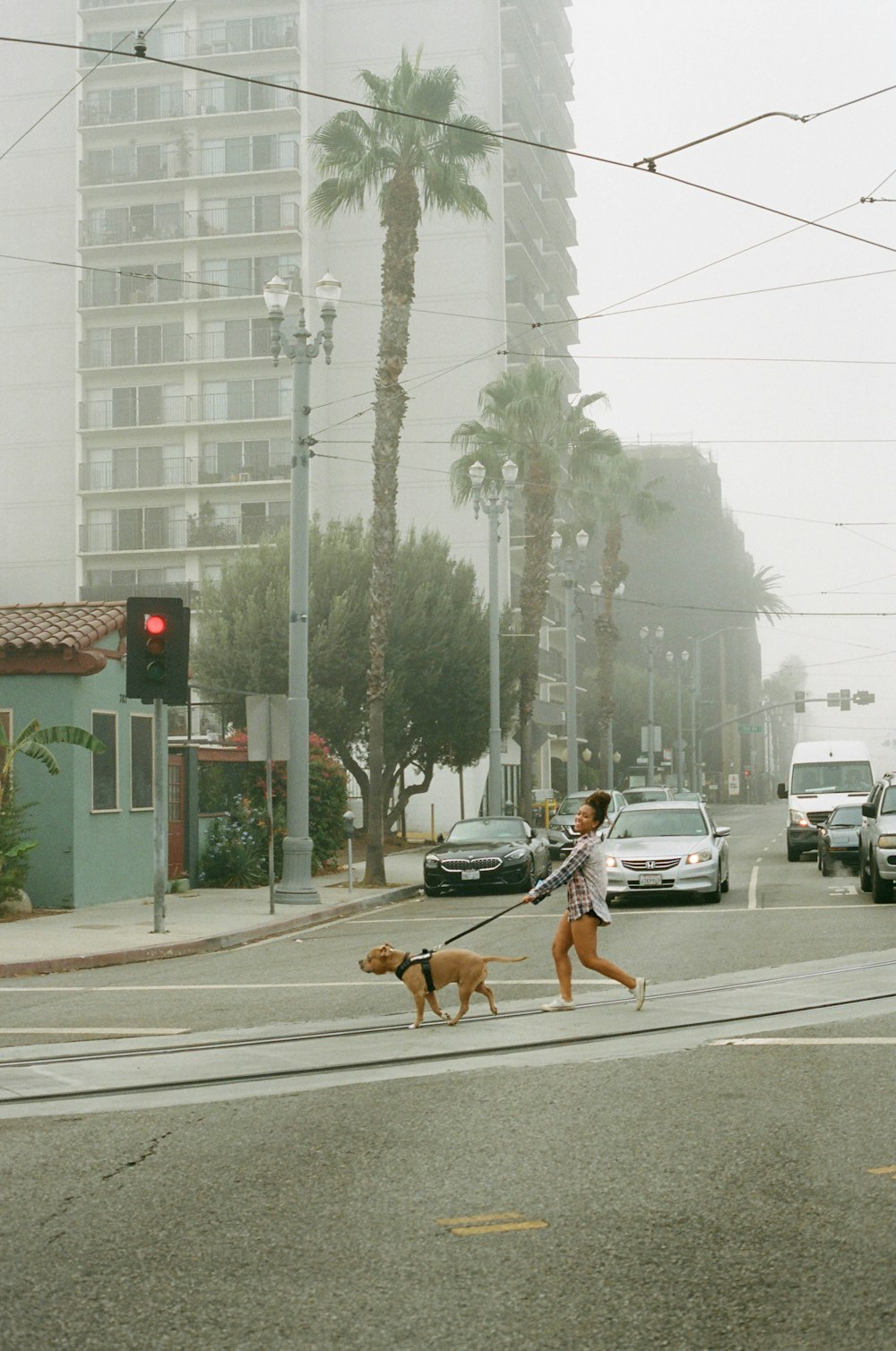 woman in white shirt and white shorts walking with brown dog on street during daytime