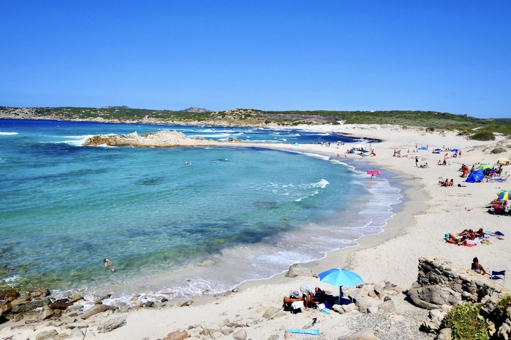 personnes sur la plage pendant la journée