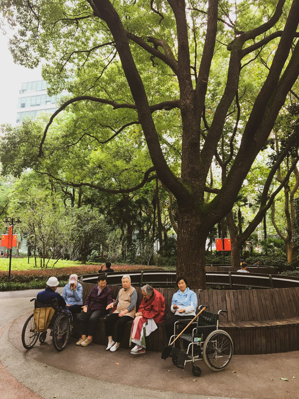 people sitting on bench under green tree during daytime