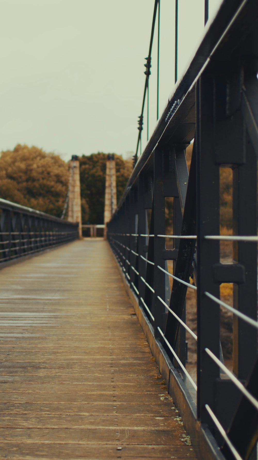 Puente de madera marrón durante el día