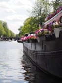 Colorful trajinera decorated with flowers floating on Xochimilco canals under a bright blue sky