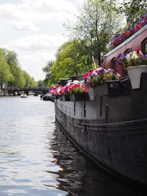 Colorful trajinera floating on Xochimilco's main canal with vibrant flowers.