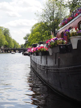 A vibrant trajinera decorated with colorful flowers floating on Xochimilco's canals at sunset.
