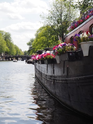 Colorful trajinera decorated with flowers floating on Xochimilco canal under a bright sunny sky.