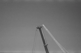 A polished, robust crane standing tall with a minimalist black backdrop.