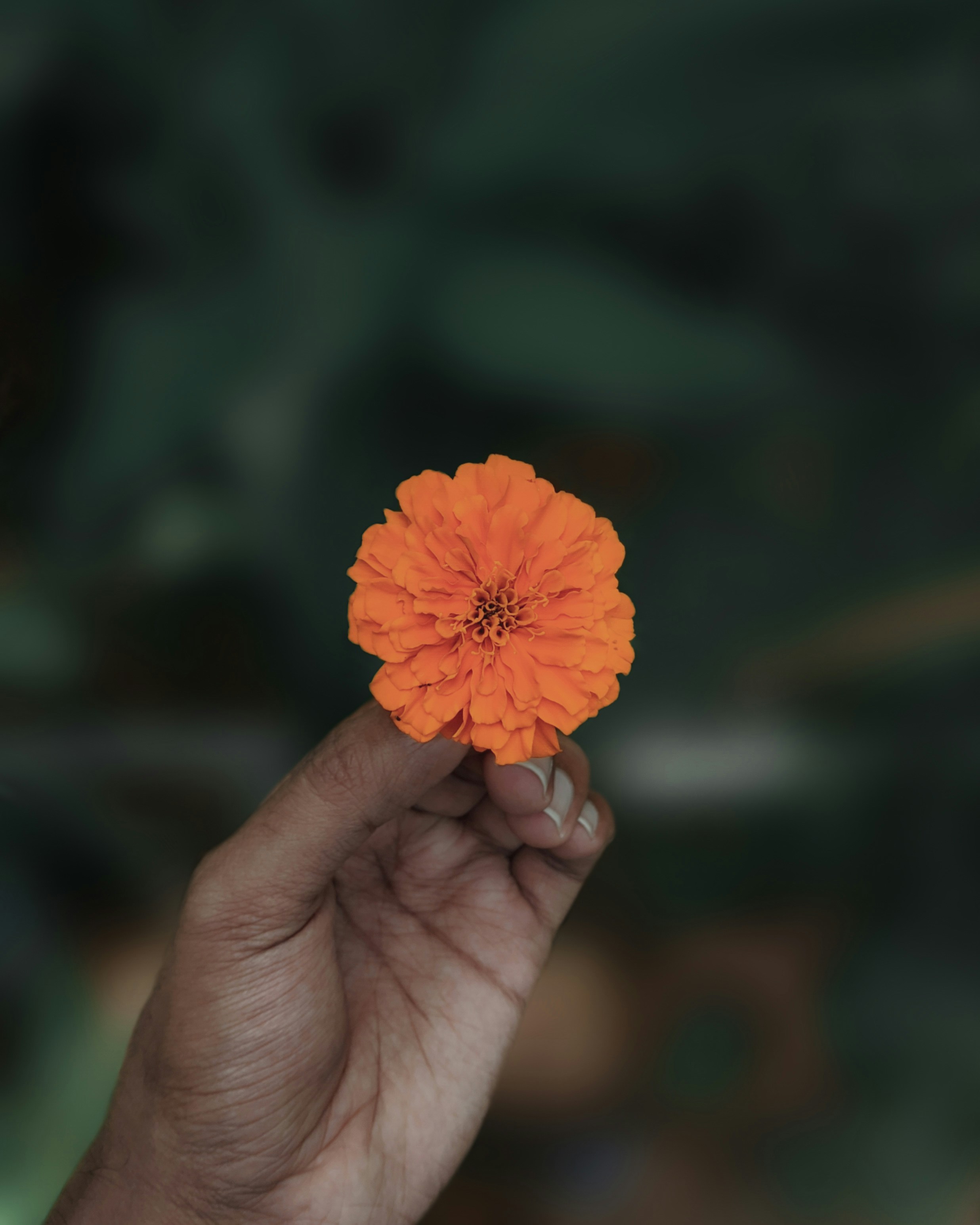 Photo by kishan_naik
