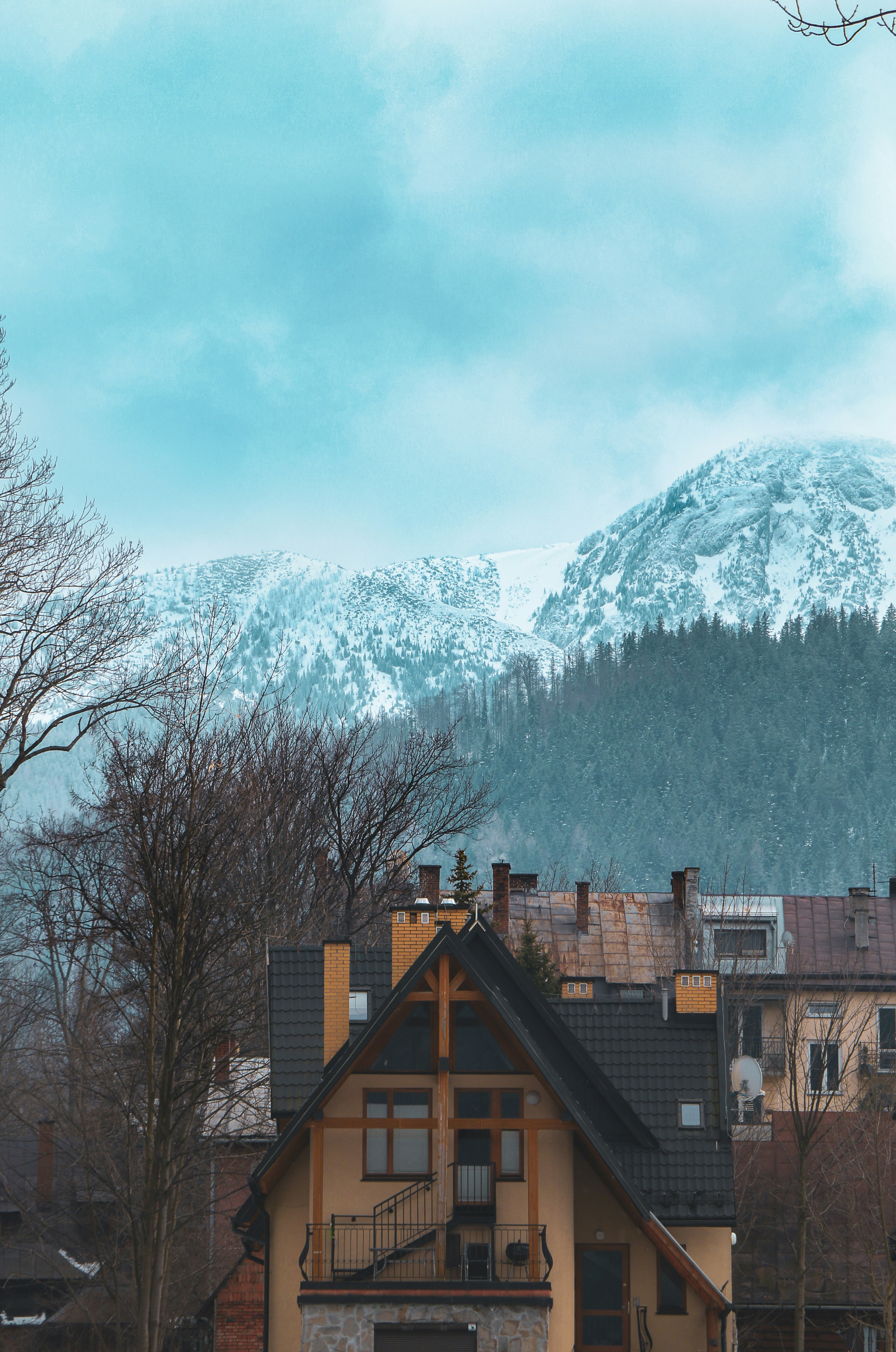 Photo by mohammed_ajwad