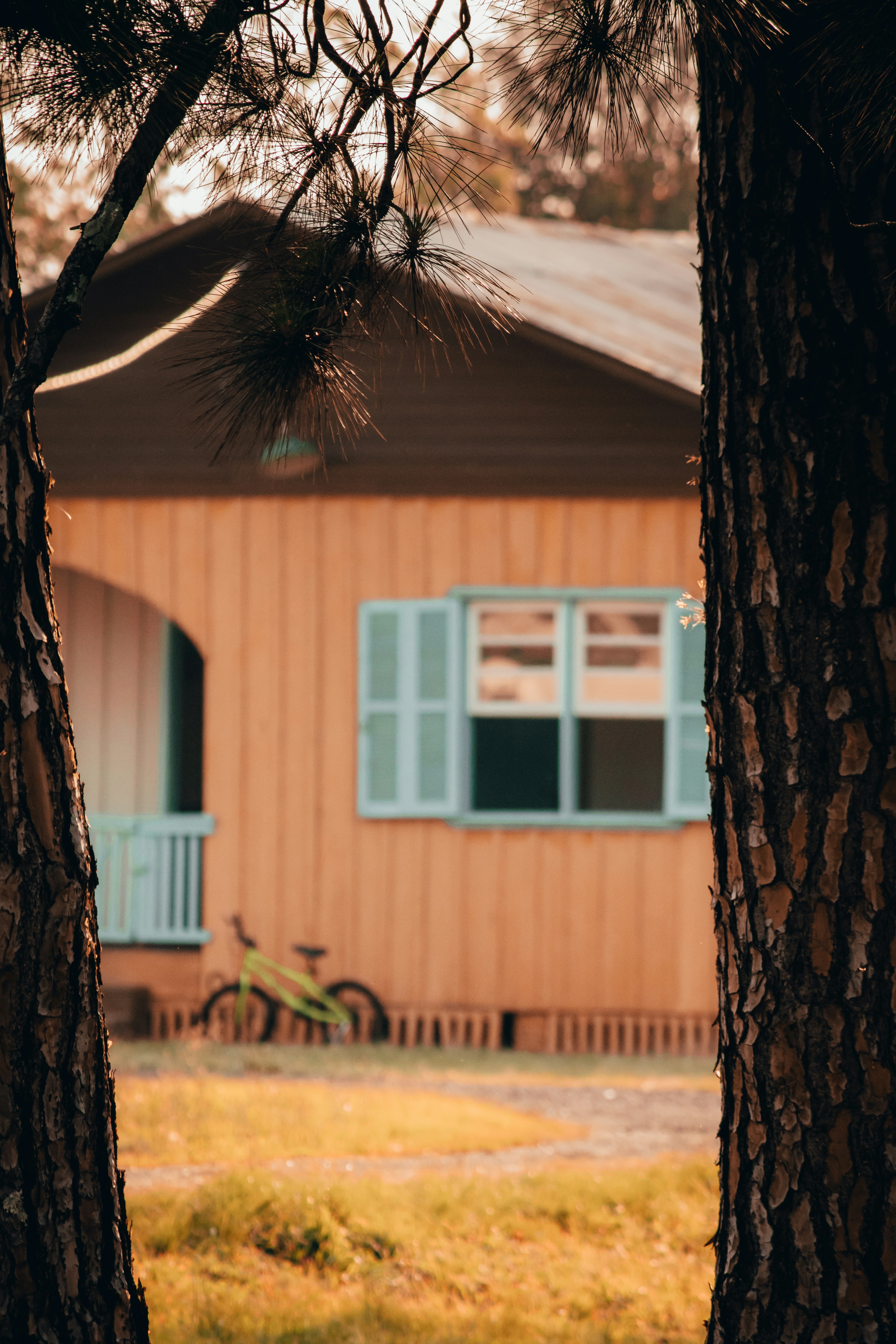 Photo by eduschadesoares