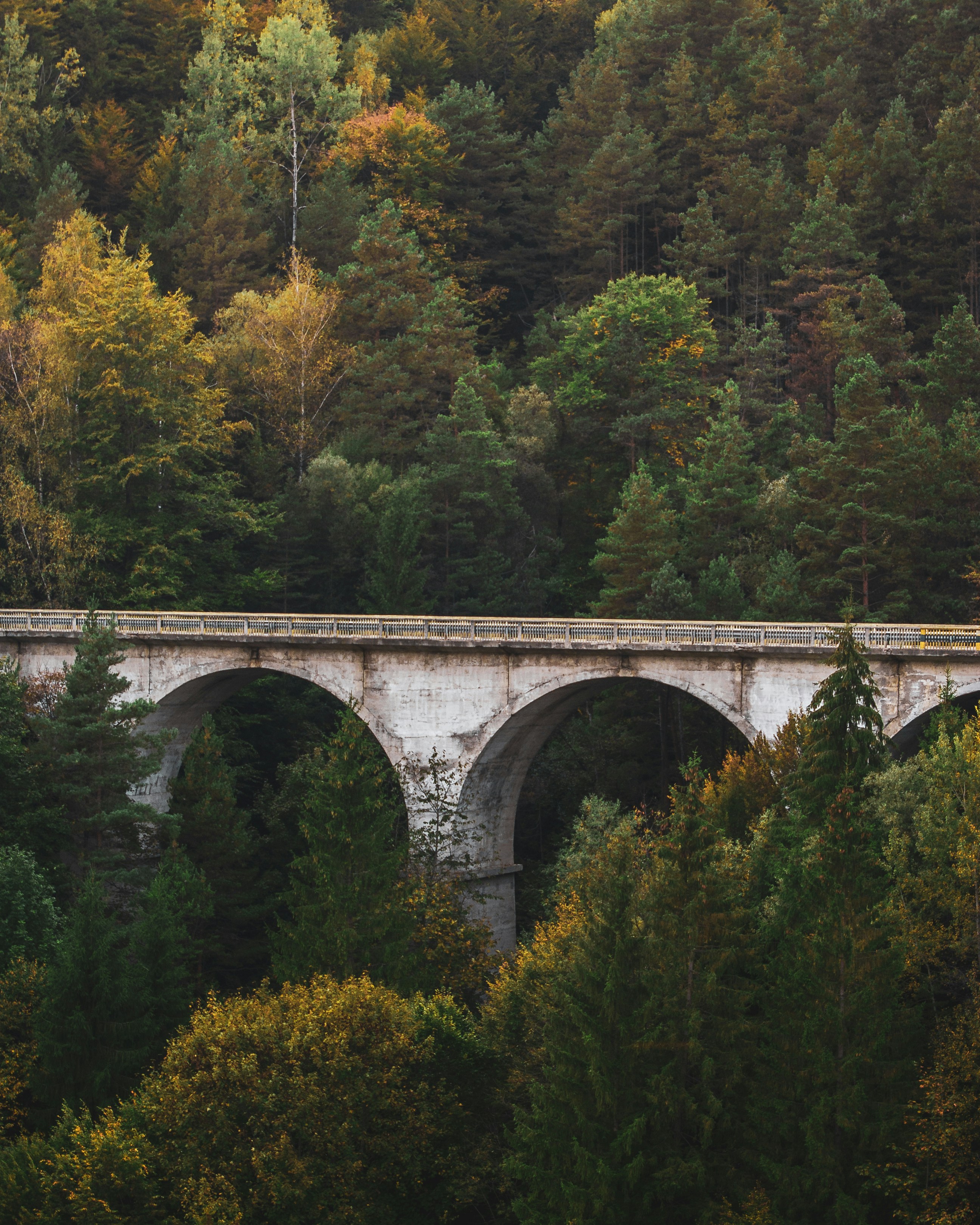 Photo by vladsolomon_