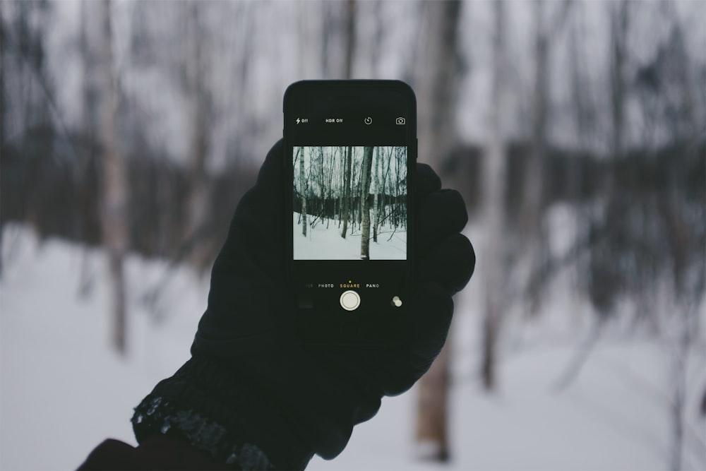 Persona sosteniendo iPhone 5 negro tomando foto de árboles cubiertos de nieve durante el día