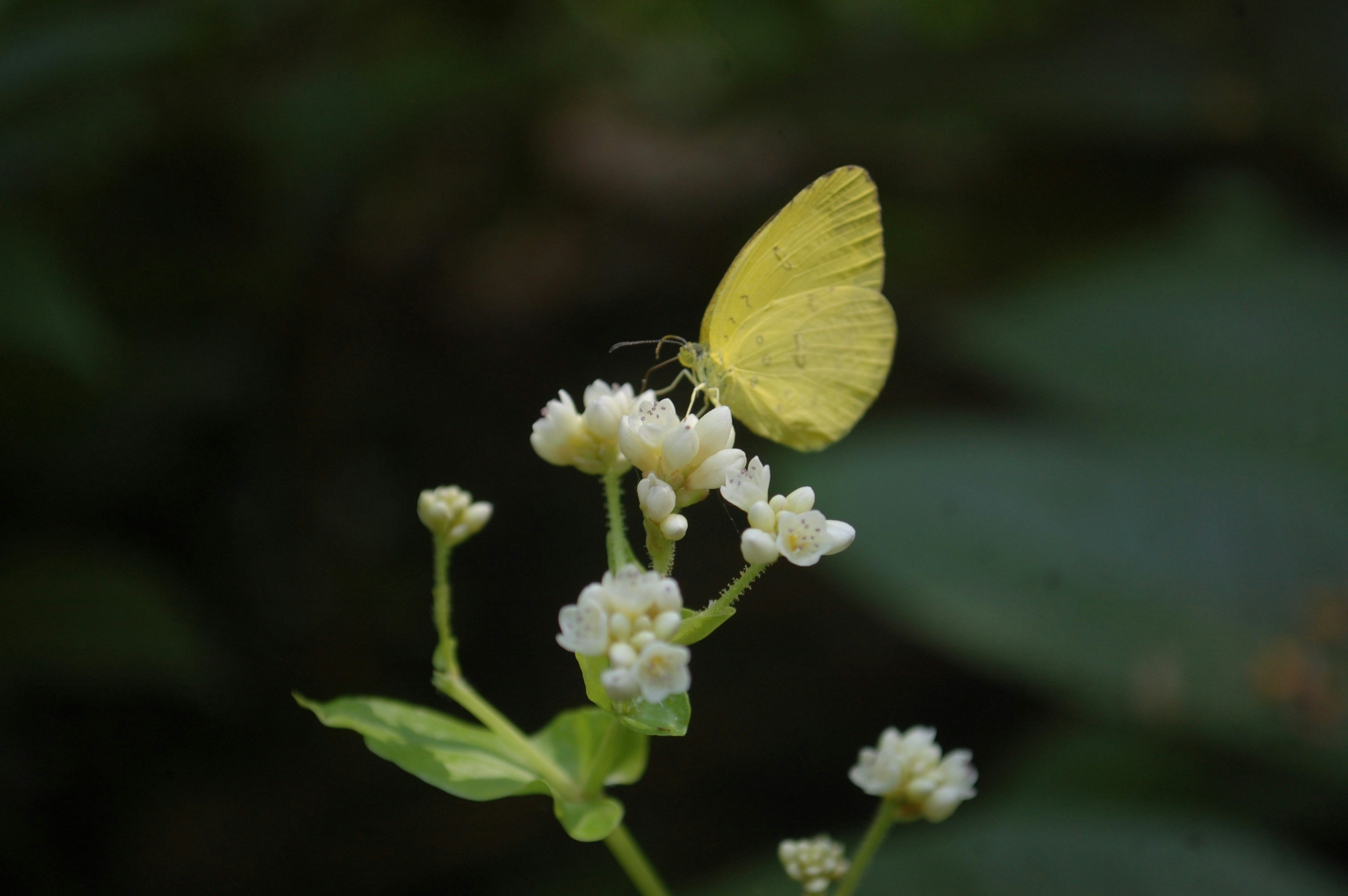 Photo by rootcreative_co