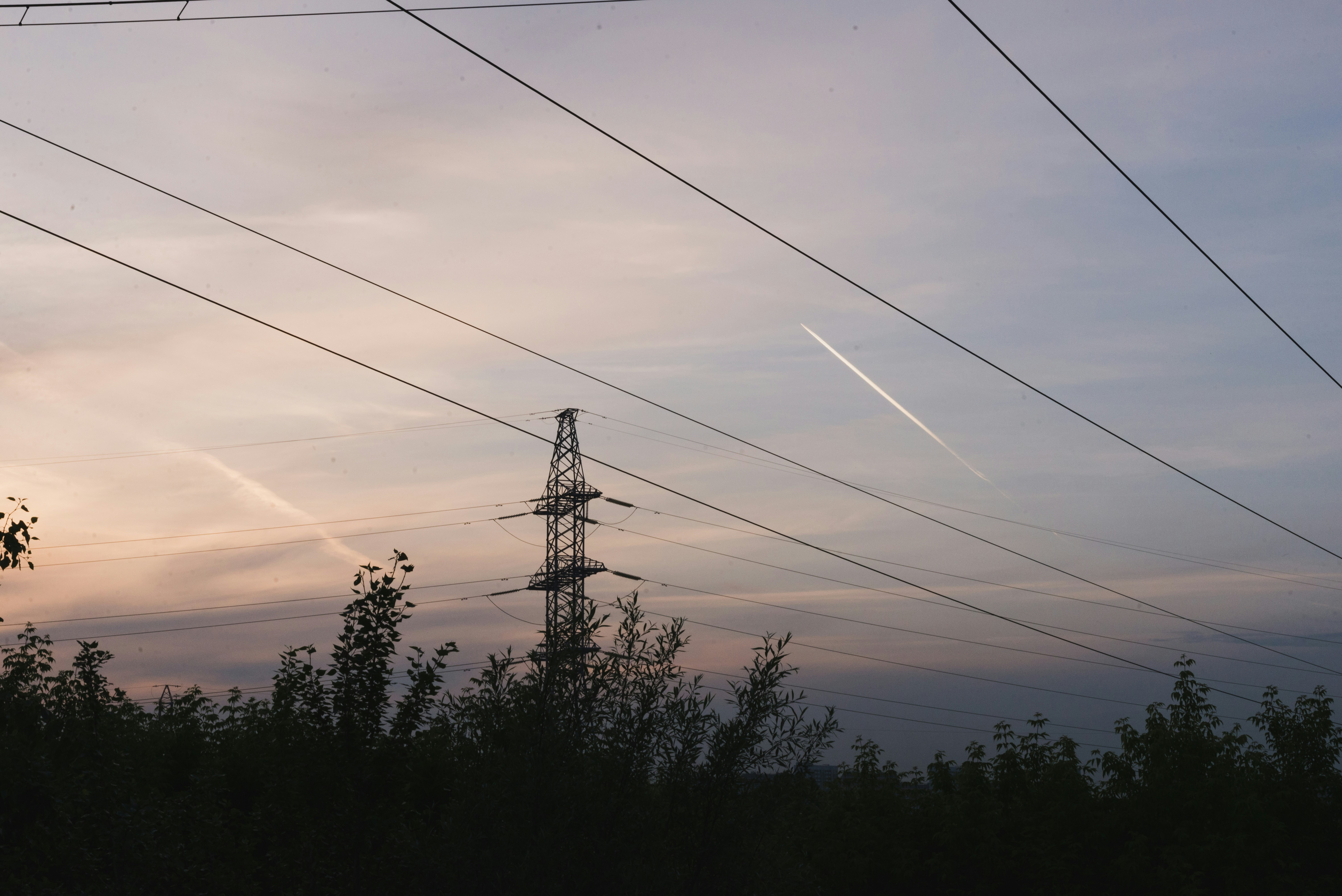 silhouette of trees under cloudy sky during daytime