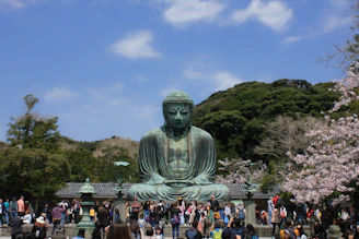 people gathering on green grass field during daytime