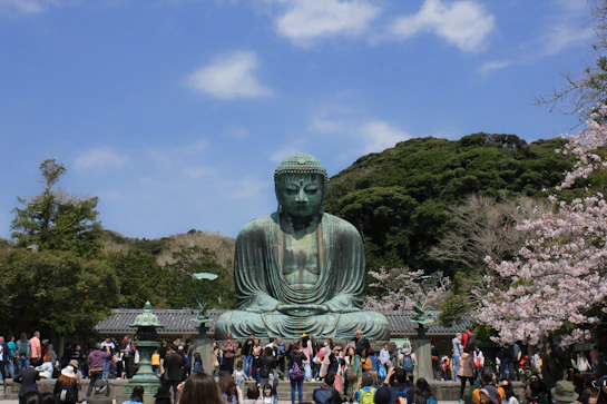 people gathering on green grass field during daytime