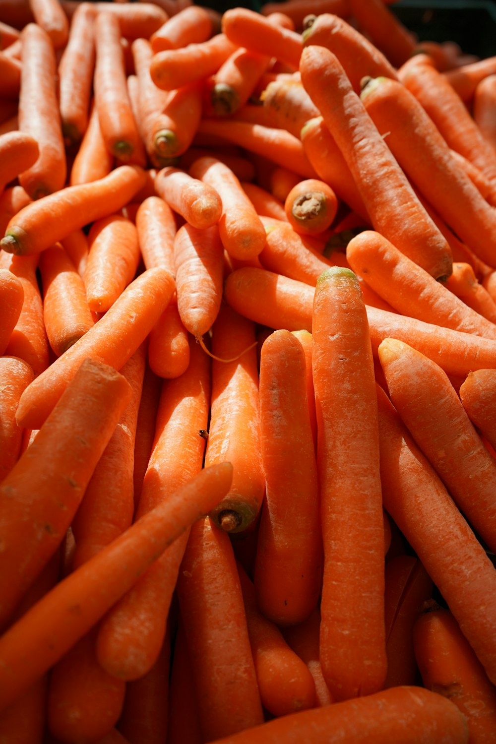 orange carrots in close up photography