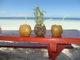 Three tropical fruits placed on a red wooden table on a sandy beach. Two coconuts with straws and a pineapple in the middle are seen with a clear, calm ocean and blue sky in the background.