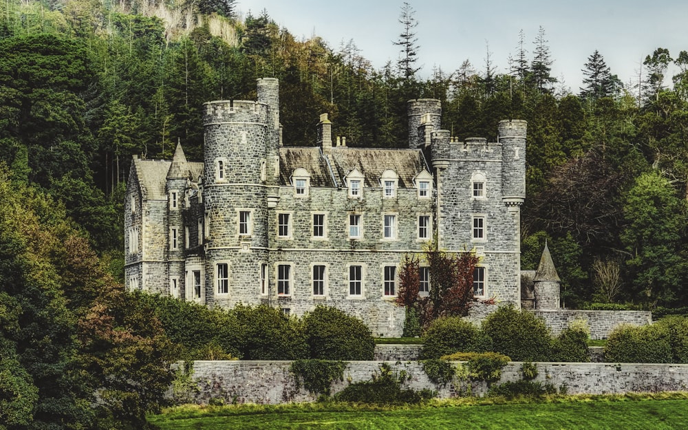 grey concrete castle surrounded by green trees during daytime