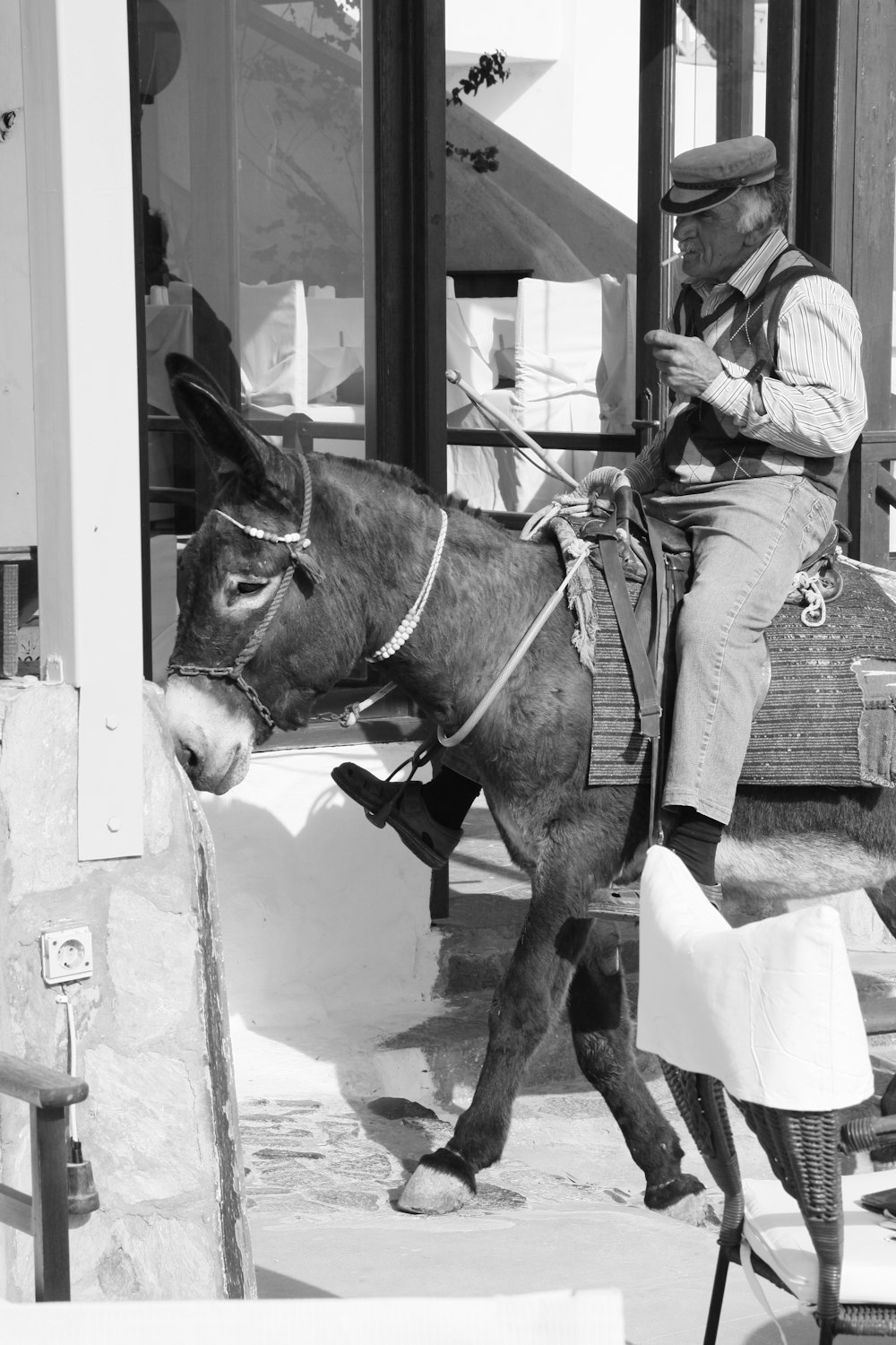 man in gray jacket riding horse