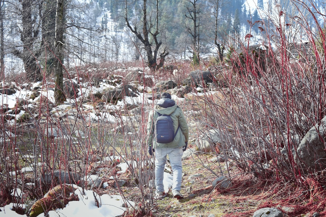 Forest photo spot Manali Keylong