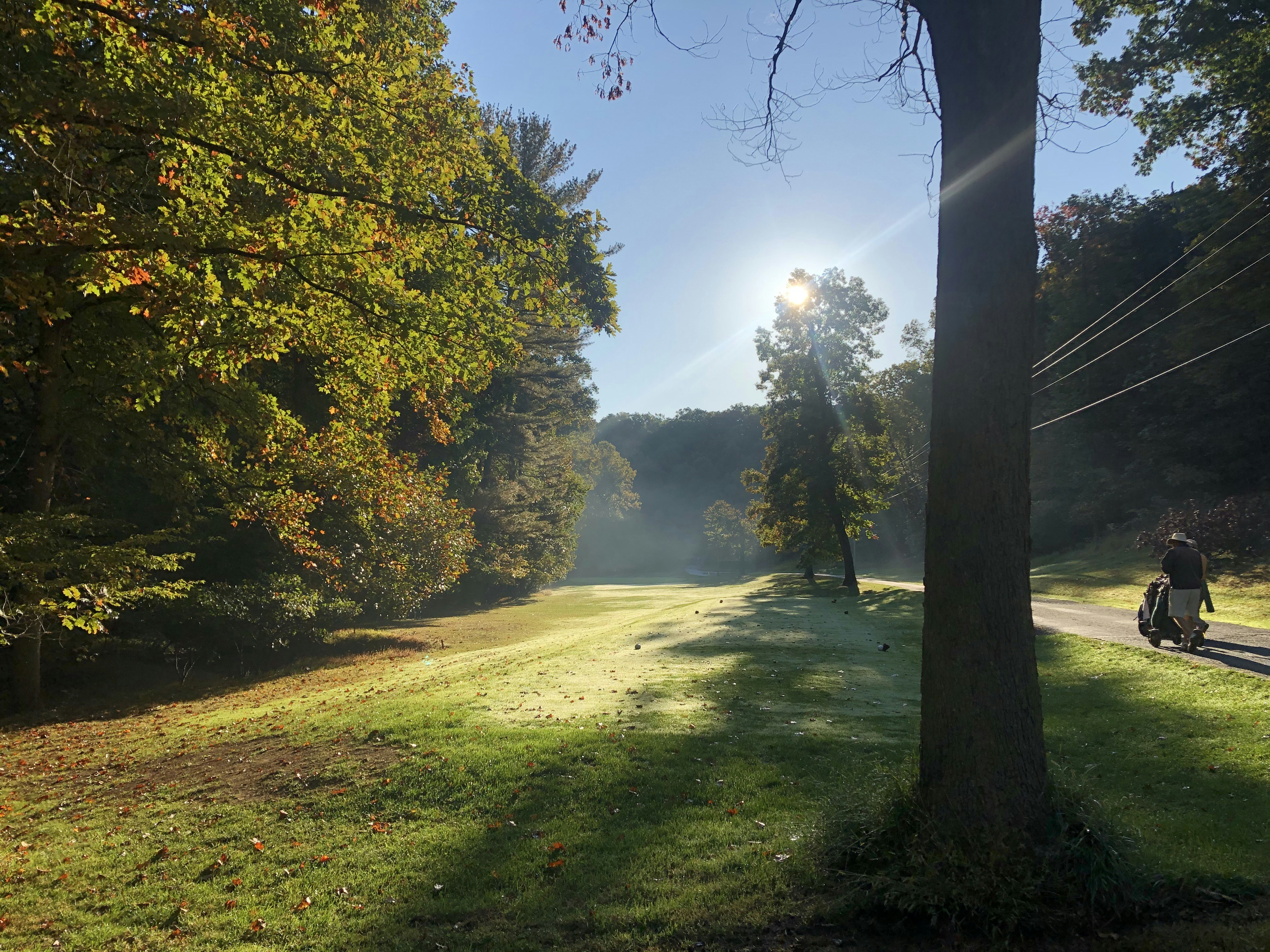 green grass field with trees during daytime