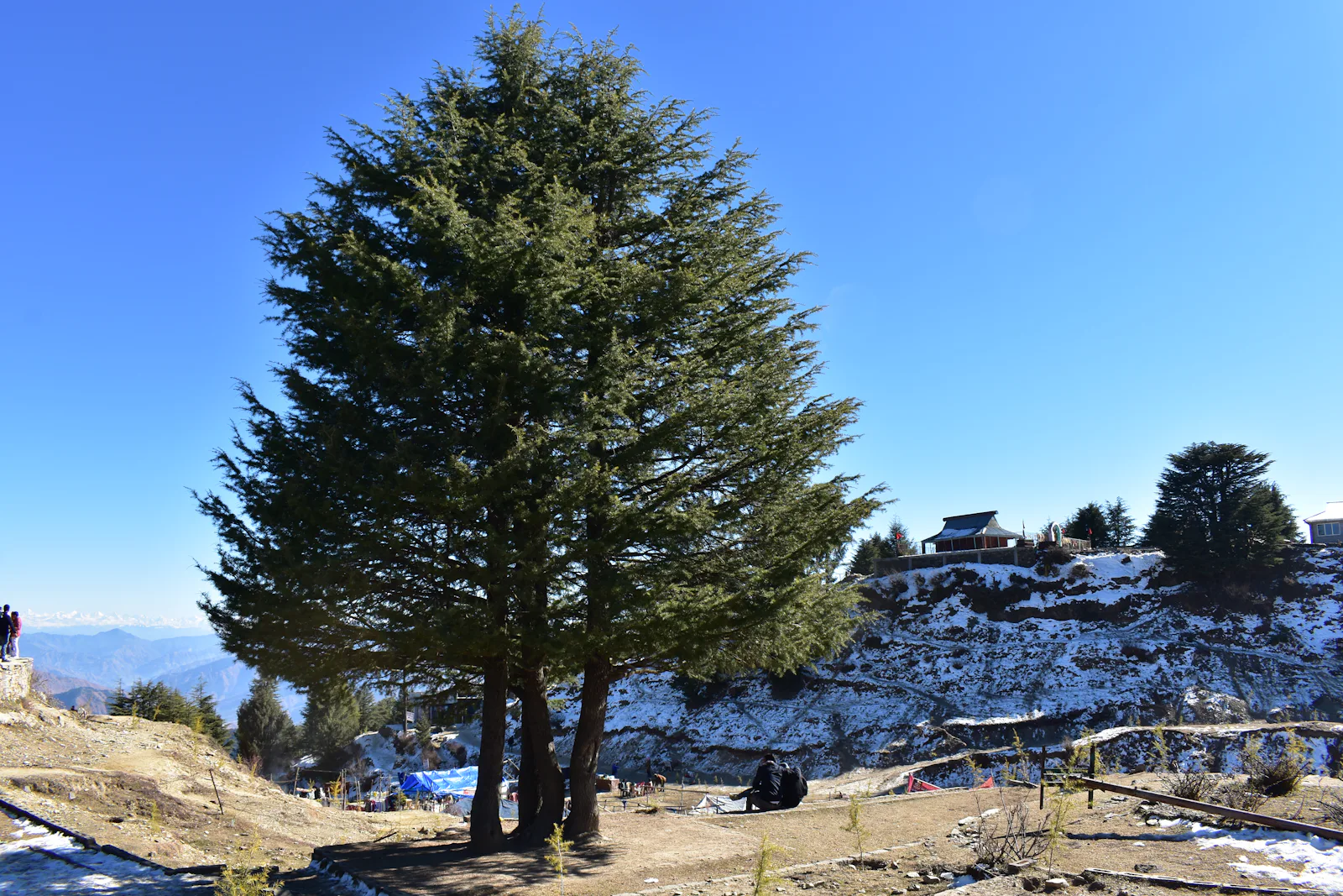 Kufri, on the Shimla Weekend route