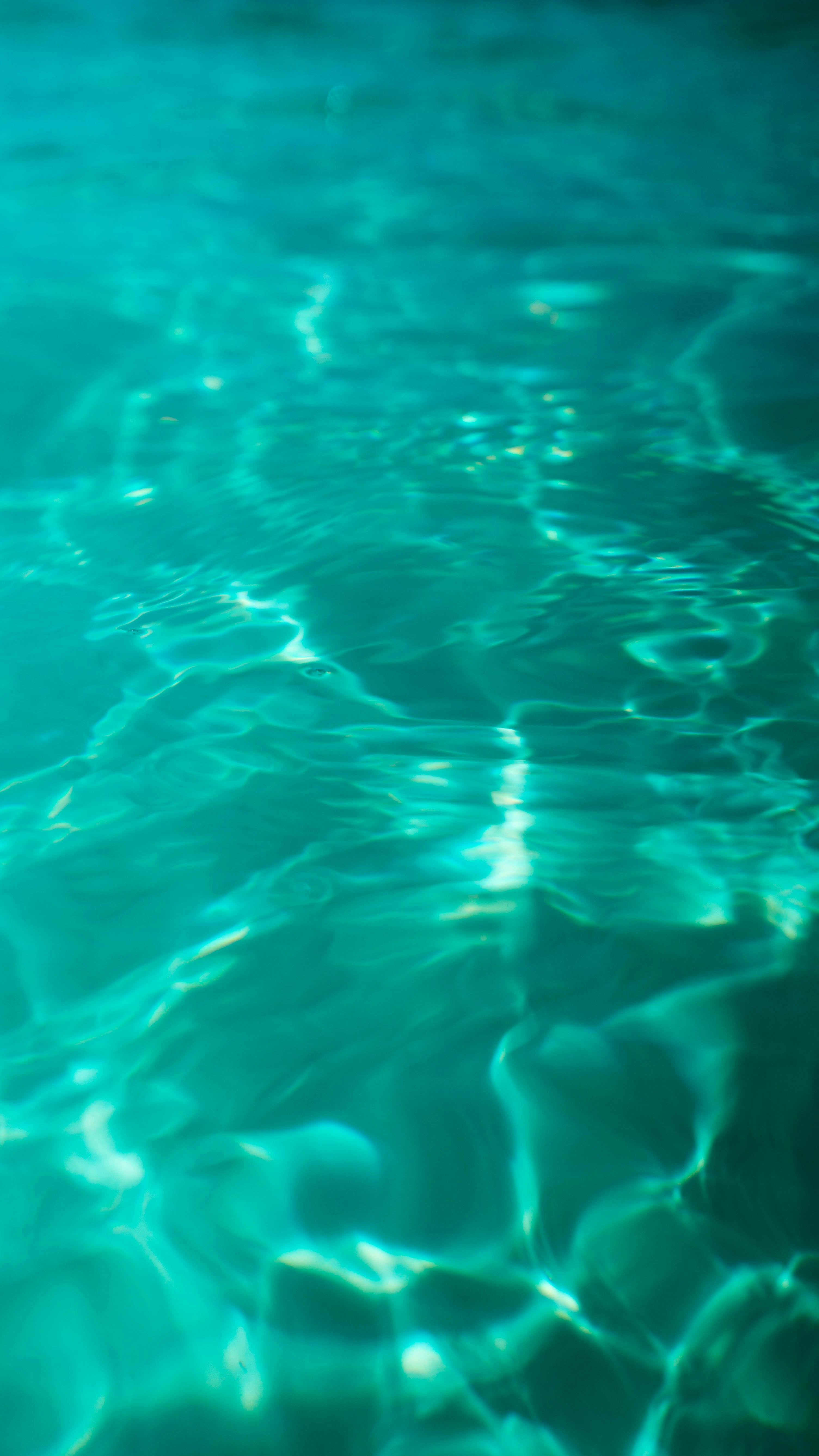 Photo by clintbustrillos