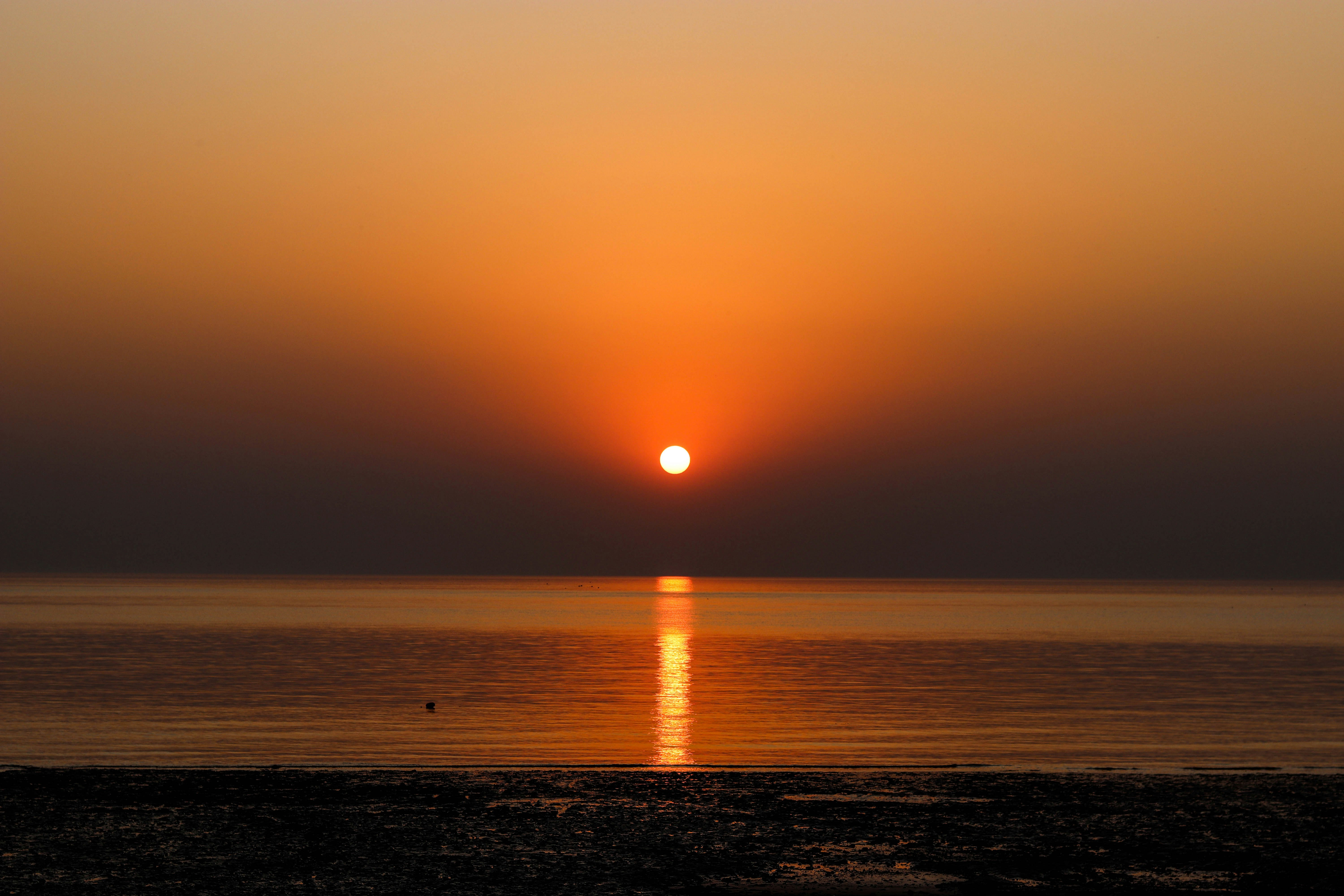 Photo by therockingroy