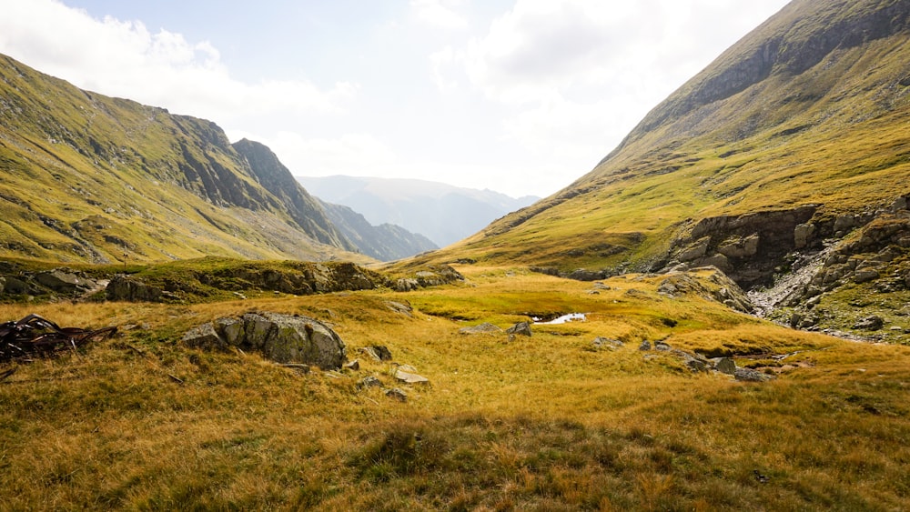 green grass field and mountains during daytime