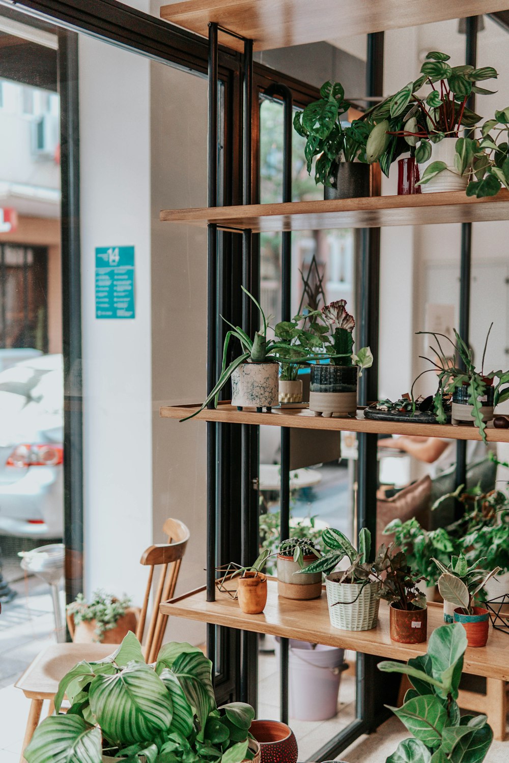 green indoor plant on brown wooden table