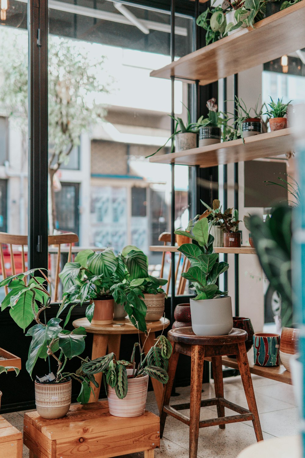 green potted plants on brown wooden seat