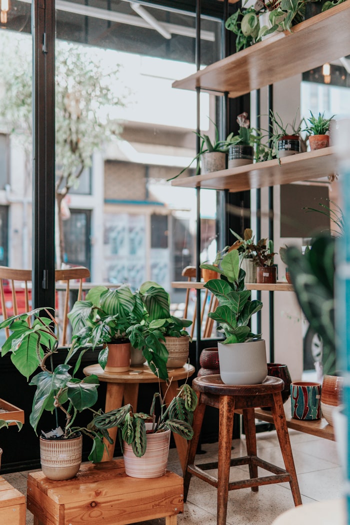 Corner filled with potted plants on wooden stools