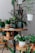 Various potted plants are arranged on tiered wooden shelves. The plants are of different types and sizes, creating a lush and vibrant display. The background features a mesh pattern, adding an industrial touch to the setting.
