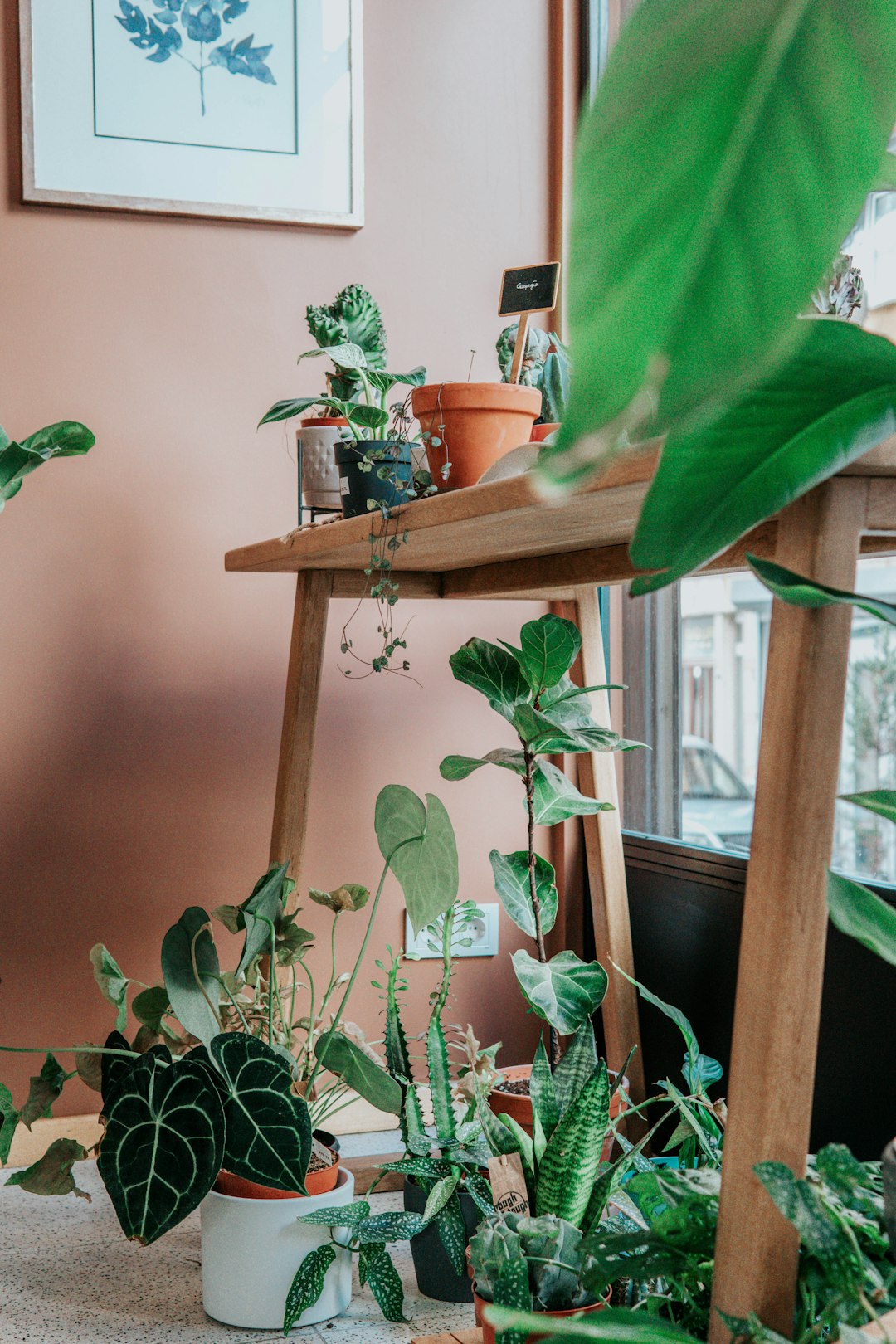 green plant on brown wooden table