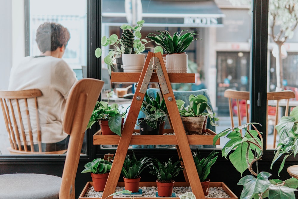 brown wooden ladder near green plants