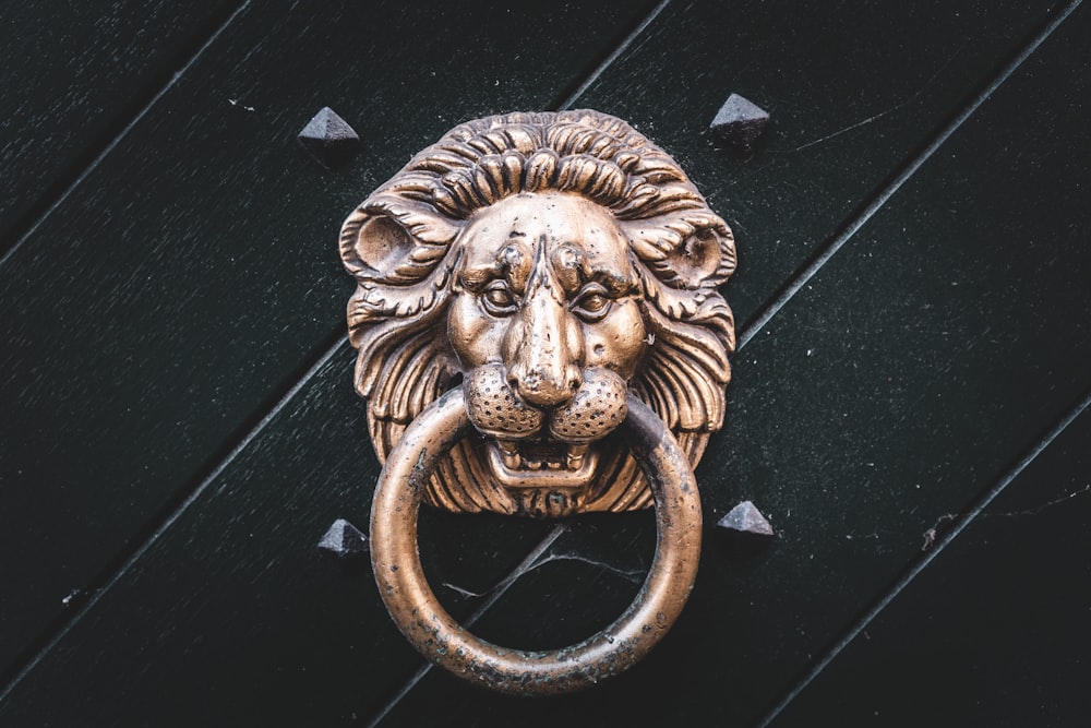 gold lion door knocker on black wooden door