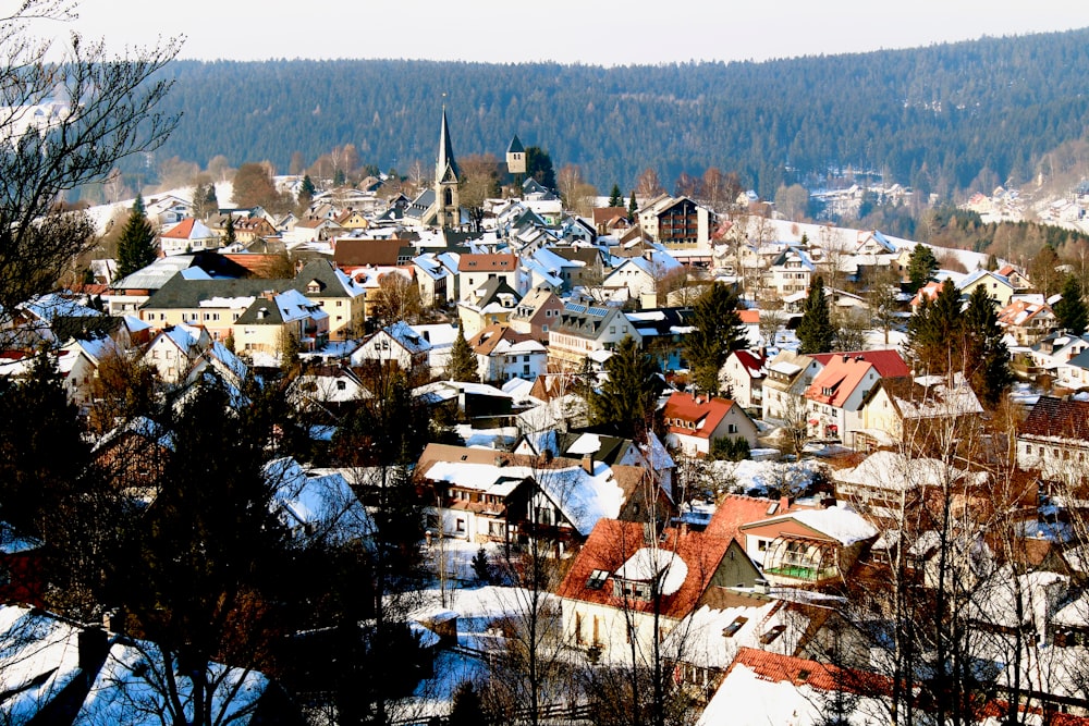 brown and white houses near green trees during daytime