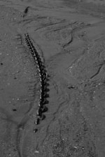 A long, heavy chain partially buried in the sand on a beach. The chain appears to extend into the distance, with visible links showing signs of rust and weathering. The sand is textured with lines and small scattered pebbles.