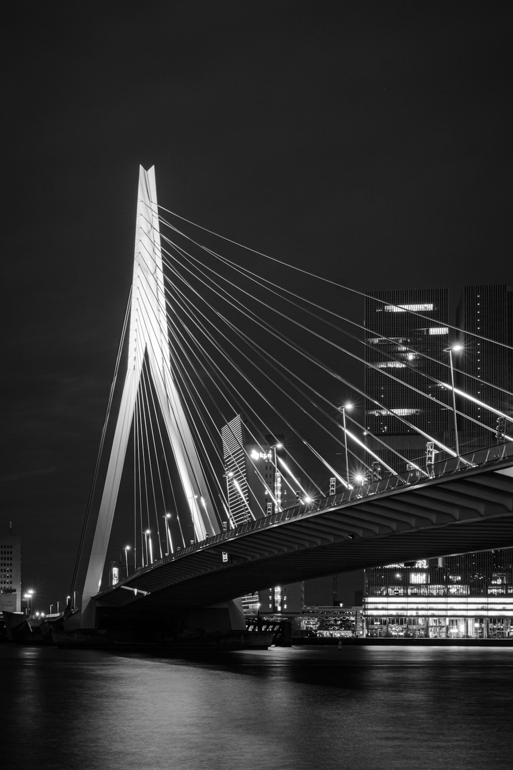 grayscale photo of bridge during night time