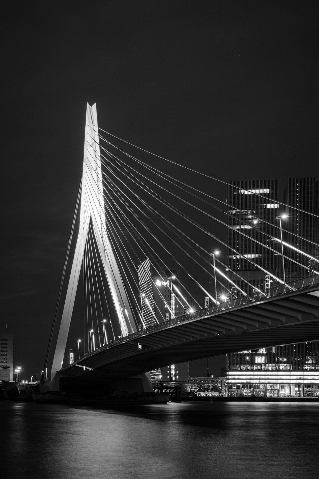 grayscale photo of bridge during night time