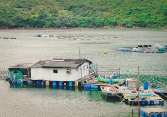 Close-up of eco-friendly materials used in the construction of a floating home.