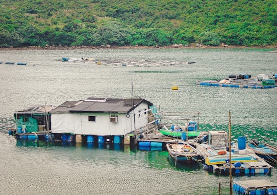 A floating house made of white and green materials is surrounded by a collection of small boats and platforms on a calm body of water. The shoreline is lined with dense greenery, providing a lush backdrop. The floating structure appears to be part of a small community or fishing setup.