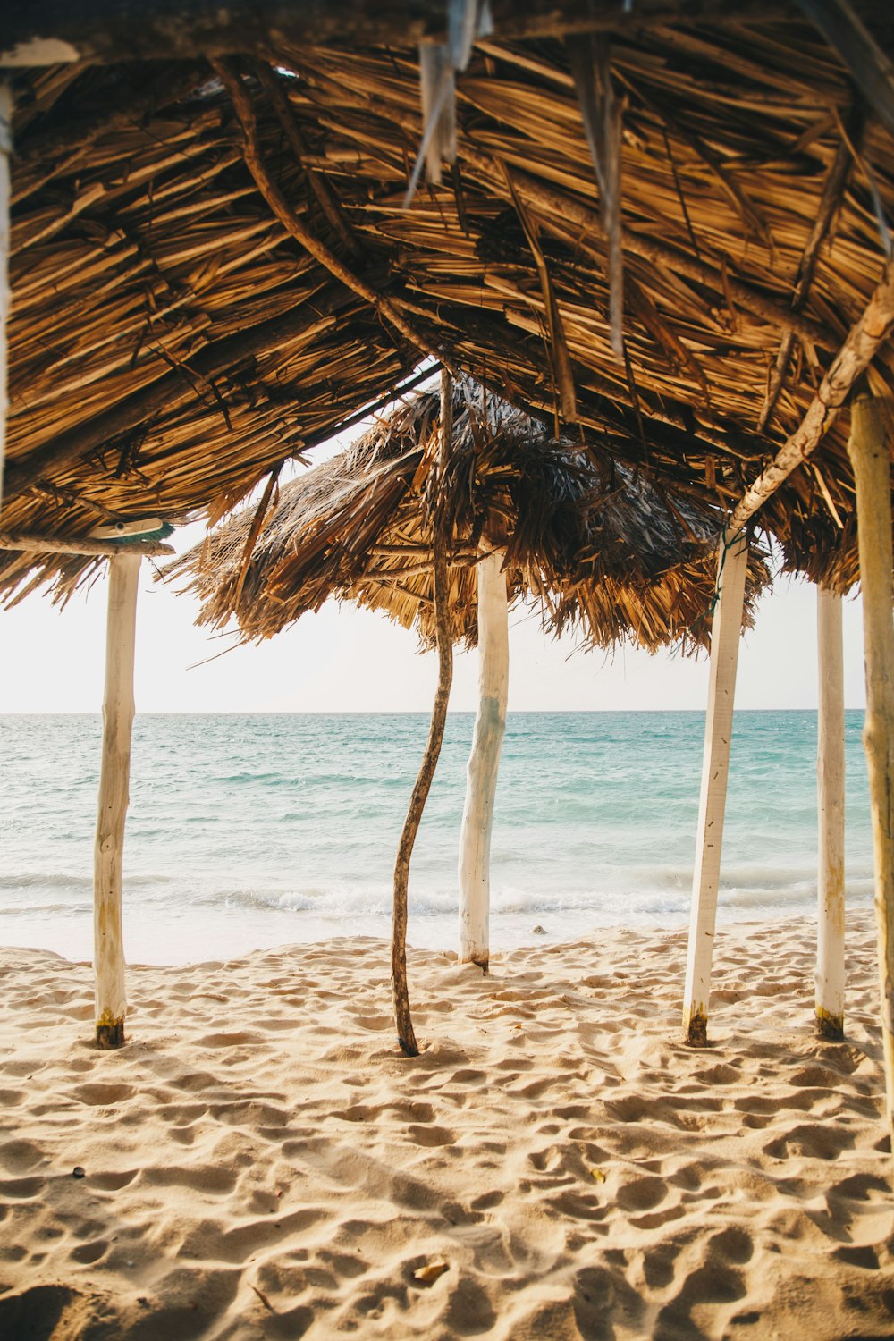 brown nipa hut on beach during daytime