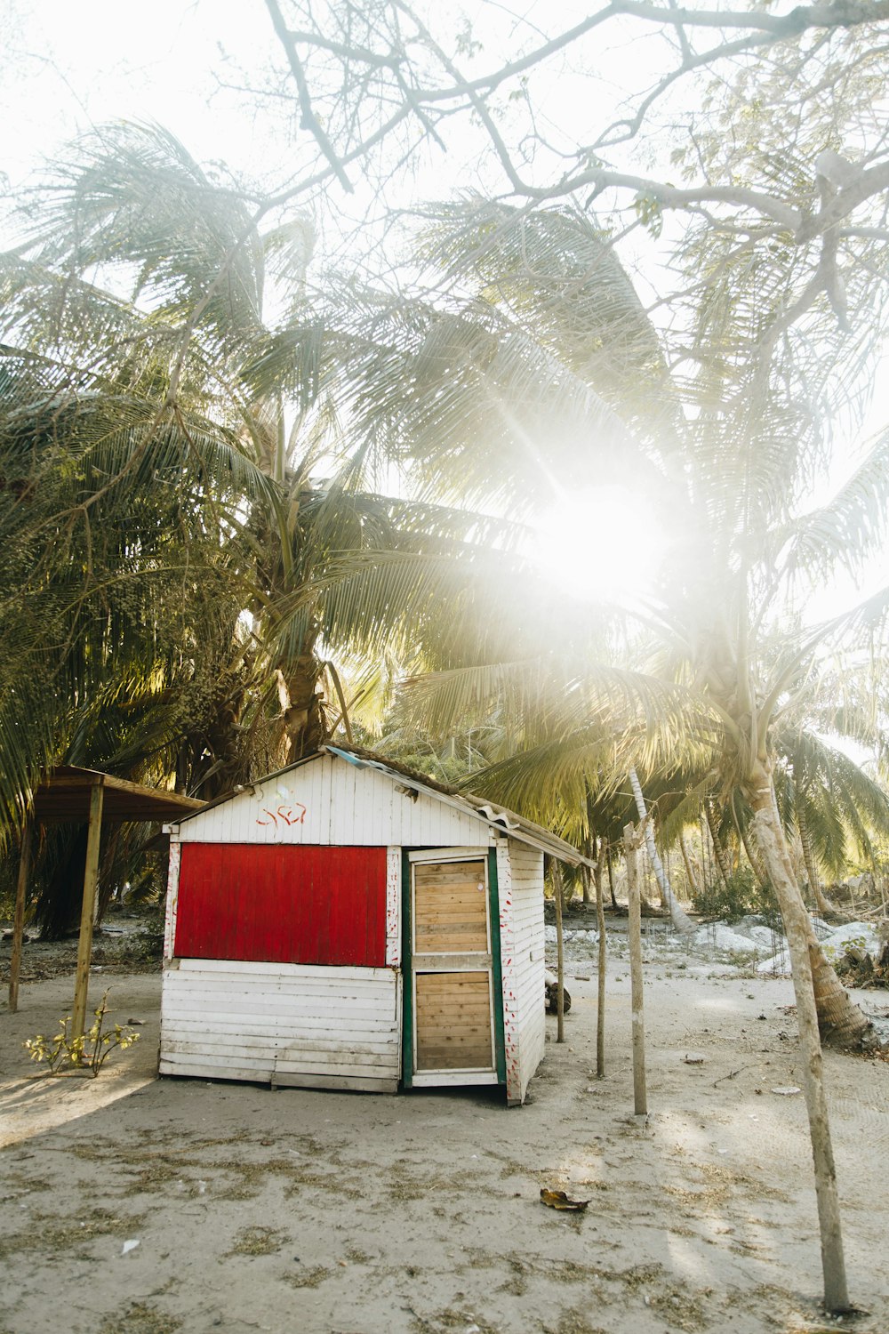 white and red wooden shed surrounded by palm trees