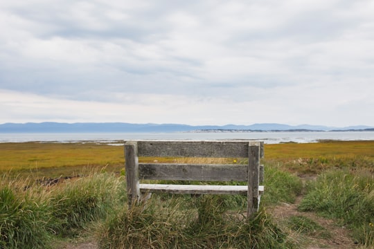 brown wooden bench on green grass field under white clouds during daytime in Kamouraska Canada